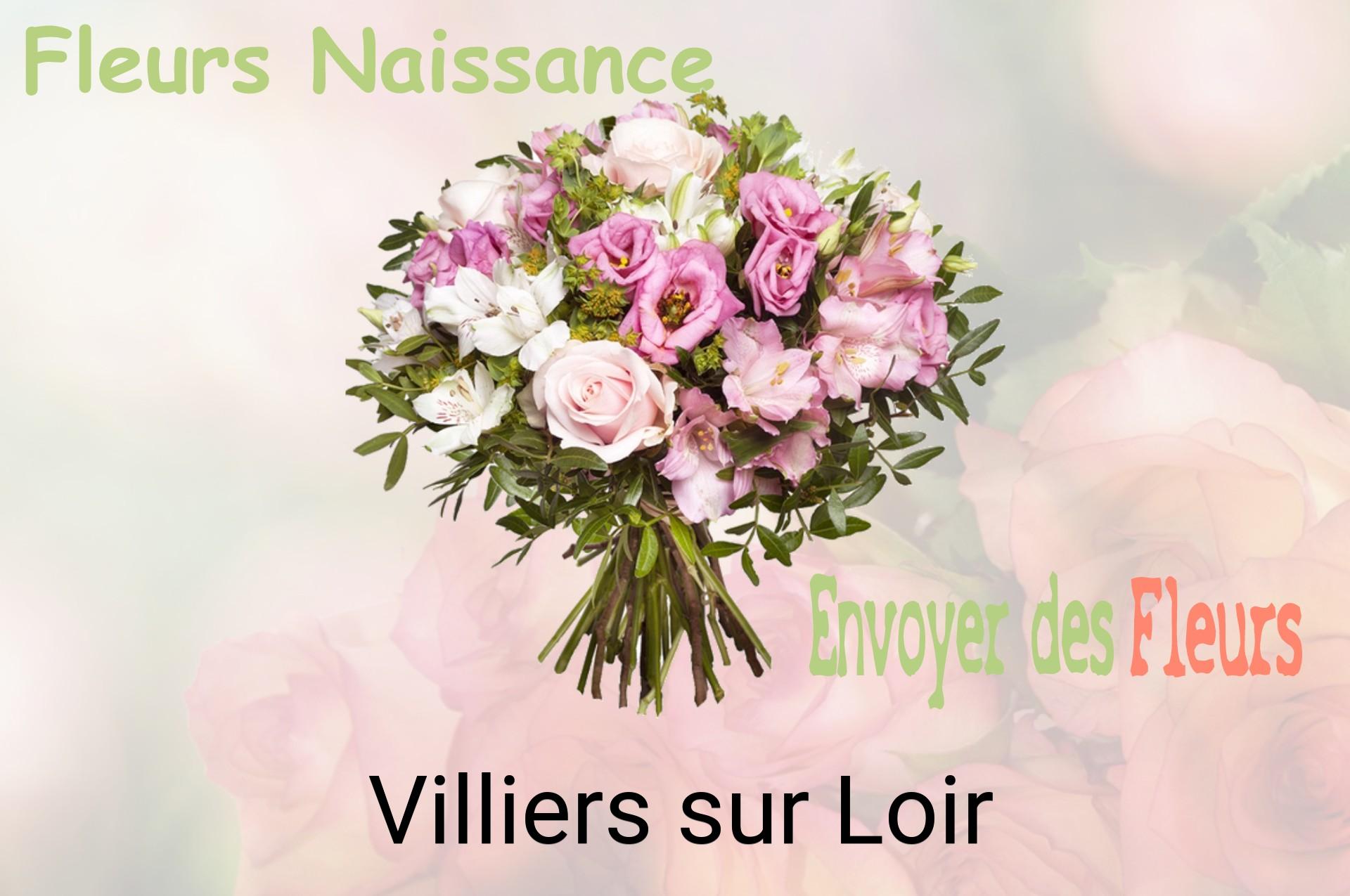 Bouquet de fleurs de naissance livré à Villiers-sur-Loir