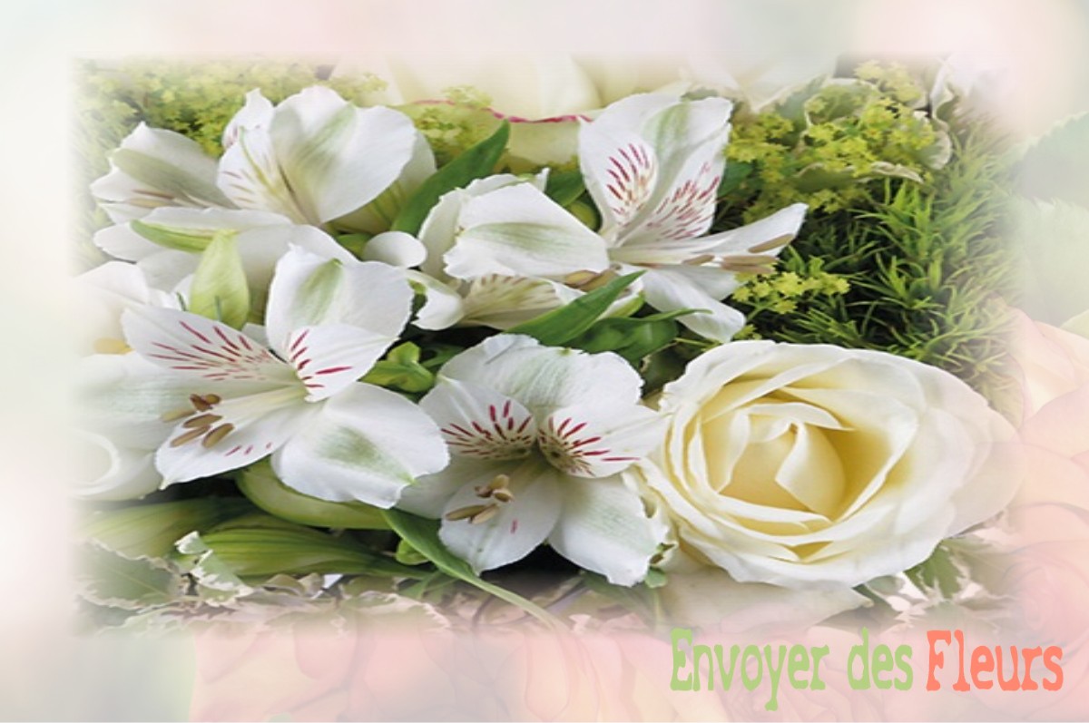 envoyer des fleurs à à VILLIERS-SUR-LOIR