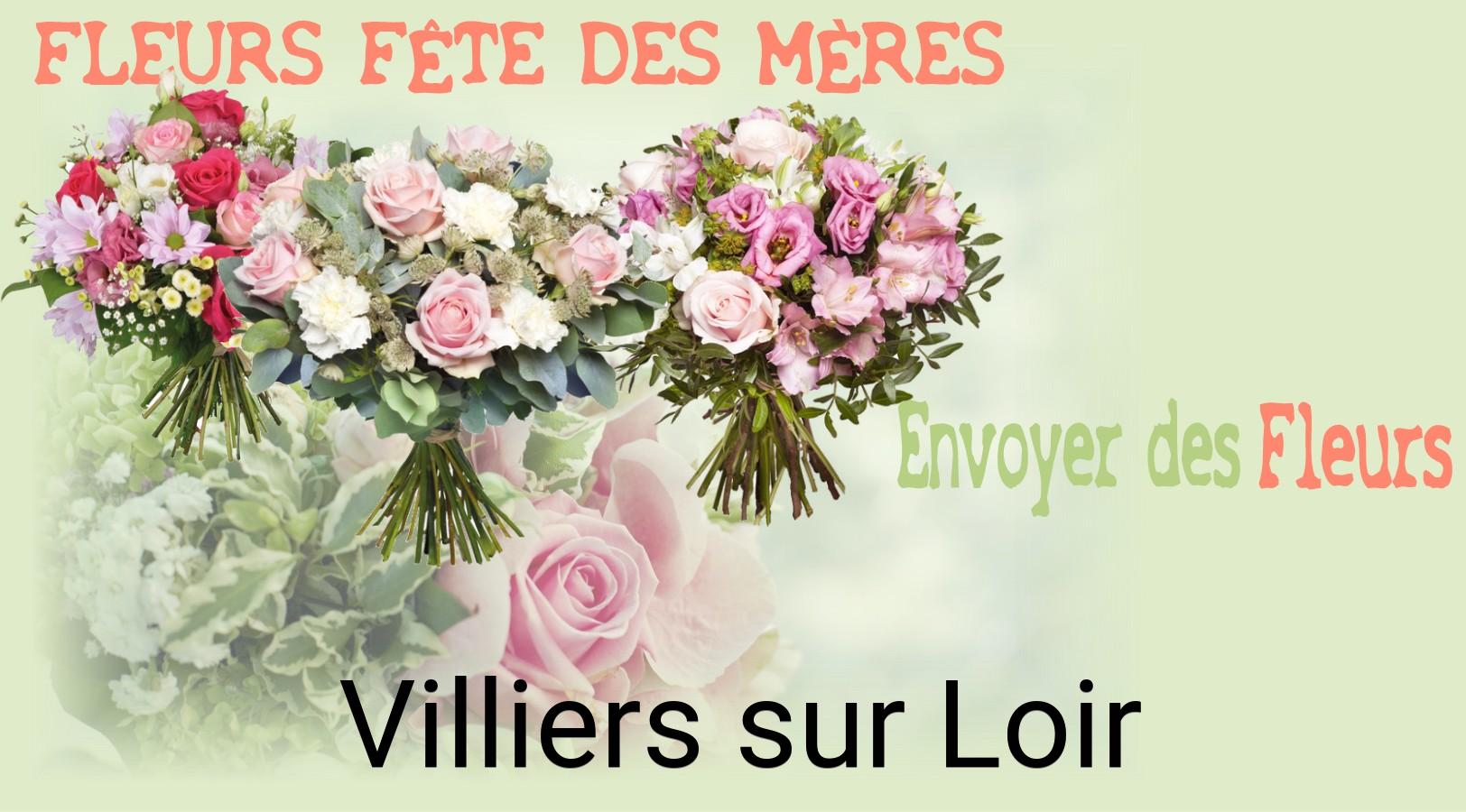Bouquet de Fête des Mères livré à Villiers-sur-Loir